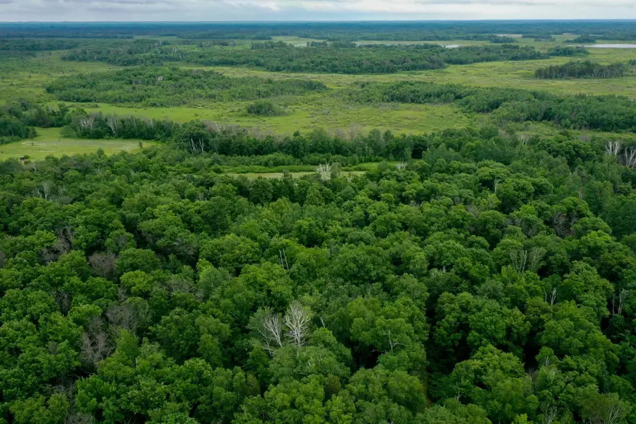 25820 County Road 26, Sebeka, MN 56477 - #2