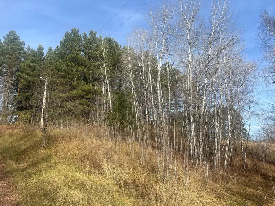 0000 Wick Road, Saginaw, MN 55779 - #2
