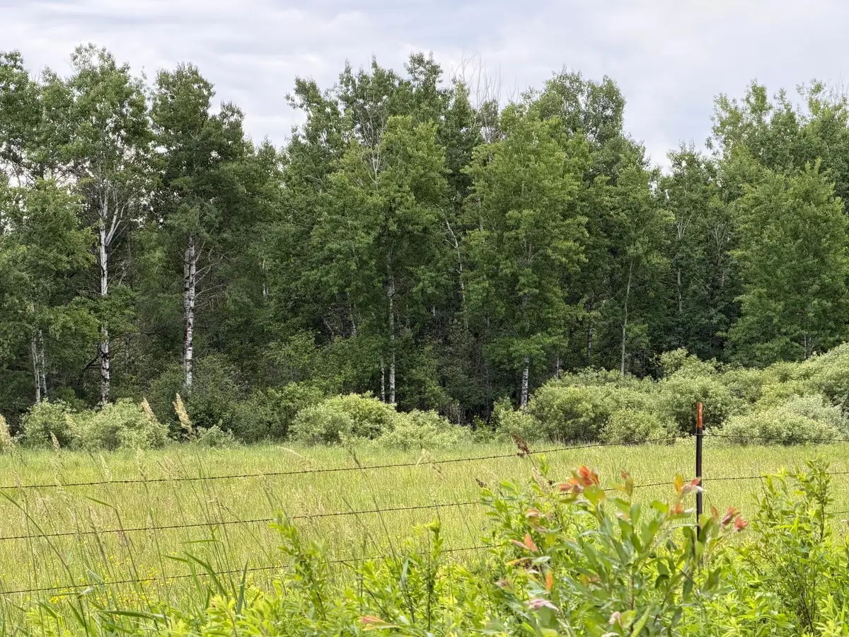 TBD Highway 65, Nashwauk, MN 55769 - #1