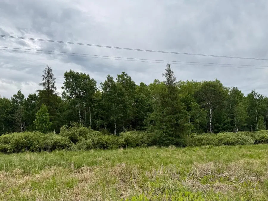 TBD Highway 65, Nashwauk, MN 55769 - #2