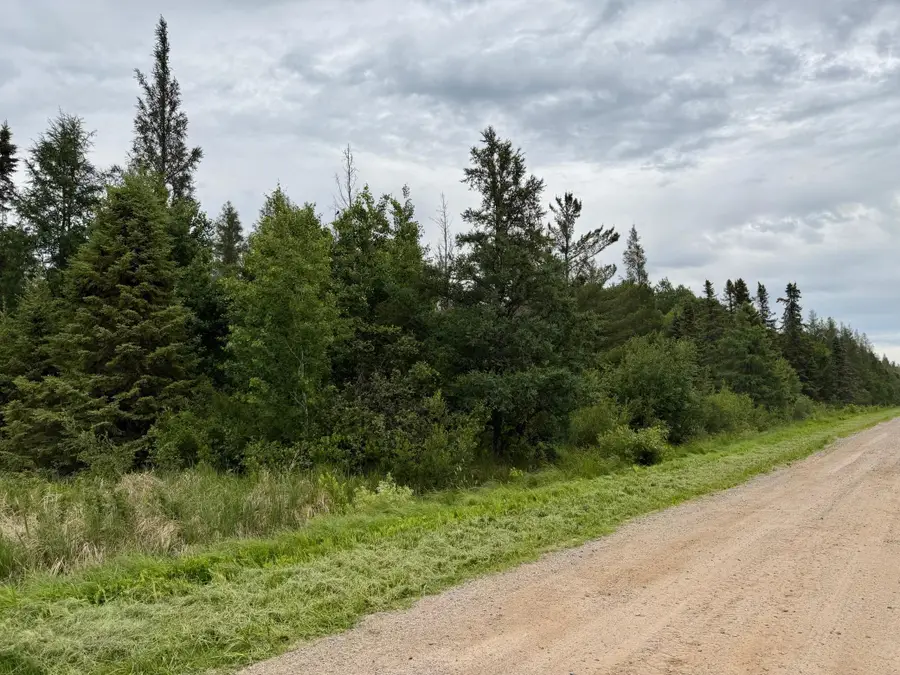 TBD Highway 65, Nashwauk, MN 55769 - #3