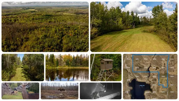 384 Acres TBD Little Pine Road, Emily, MN 56447