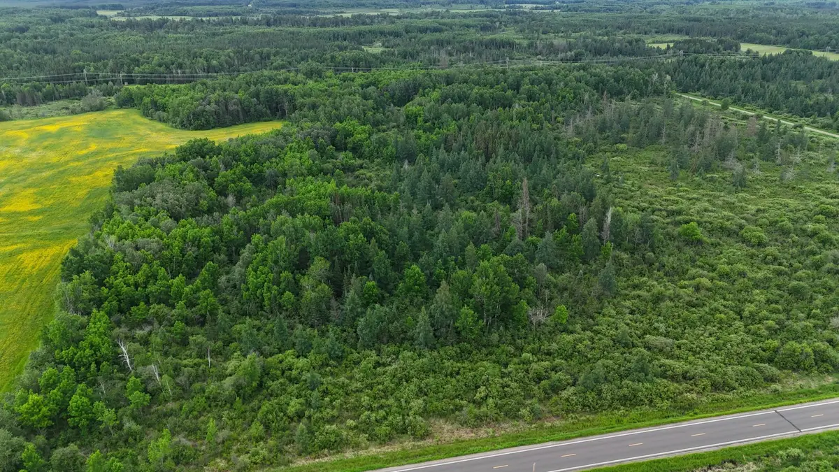 8xxx Townline Road, Forbes, MN 55738 - #1