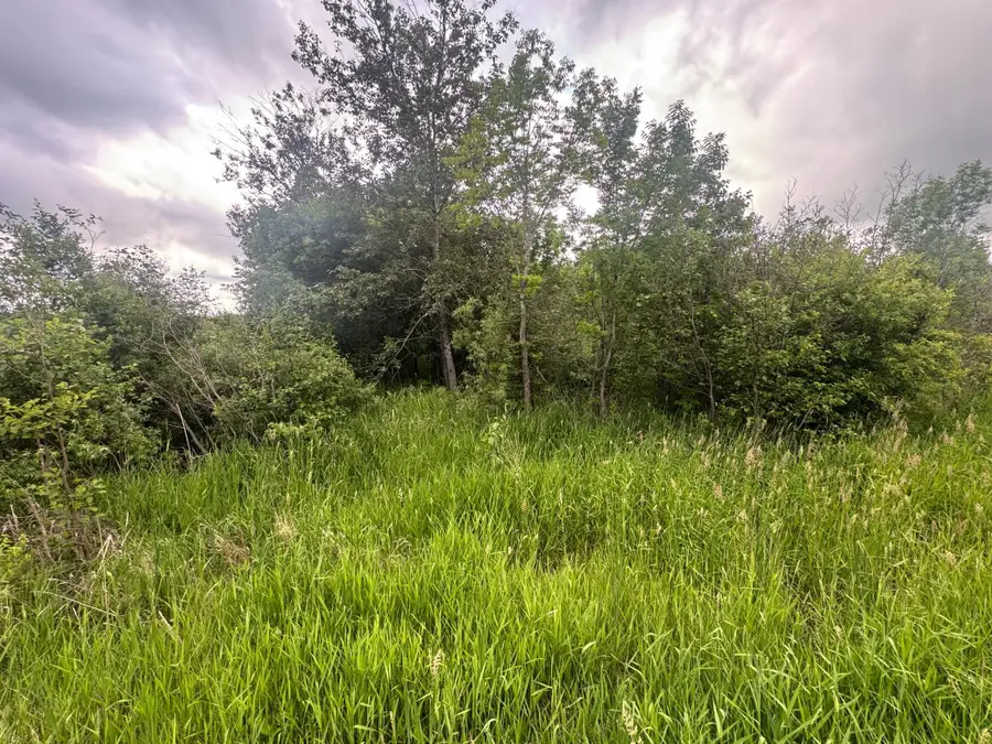 8xxx Townline Road, Forbes, MN 55738 - #2