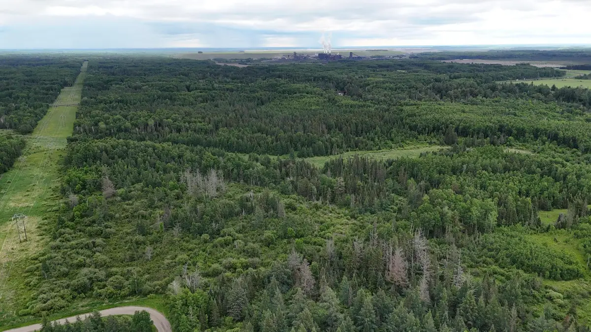 TBD Quaal Road, Forbes, MN 55738 - #1