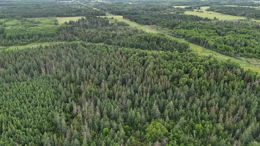 TBD Quaal Road, Forbes, MN 55738 - #2