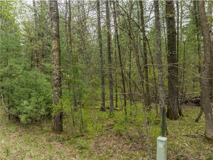 TBD Chokecherry Drive, Nevis, MN 56467 - #3