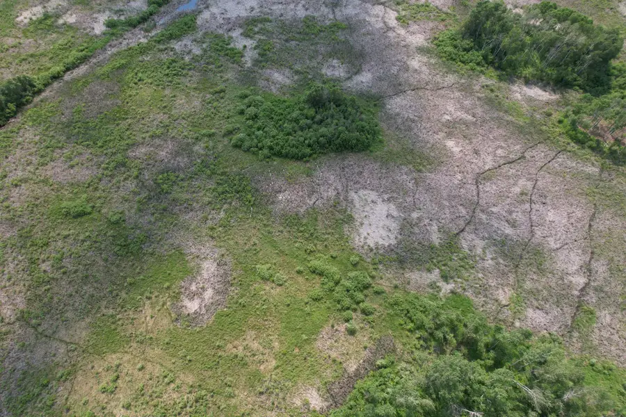 TBD Bunny Hill Road, Sebeka, MN 56477 - #3