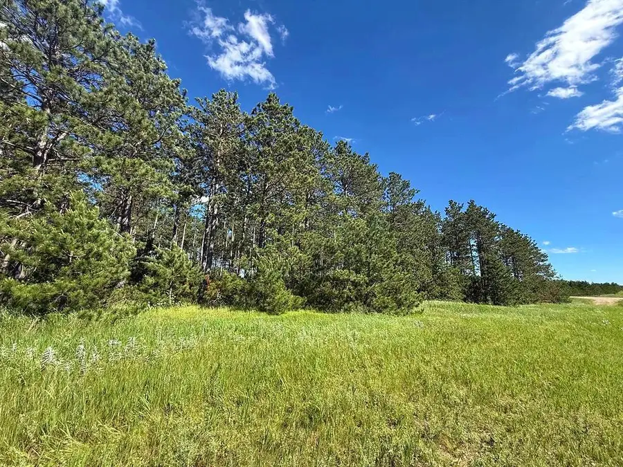 TBD County 48, Park Rapids, MN 56470 - #3