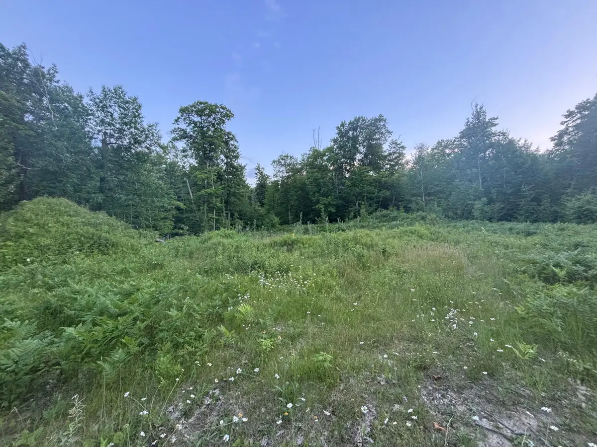 39987 Cass Line Road, Laporte, MN 56461 - #1