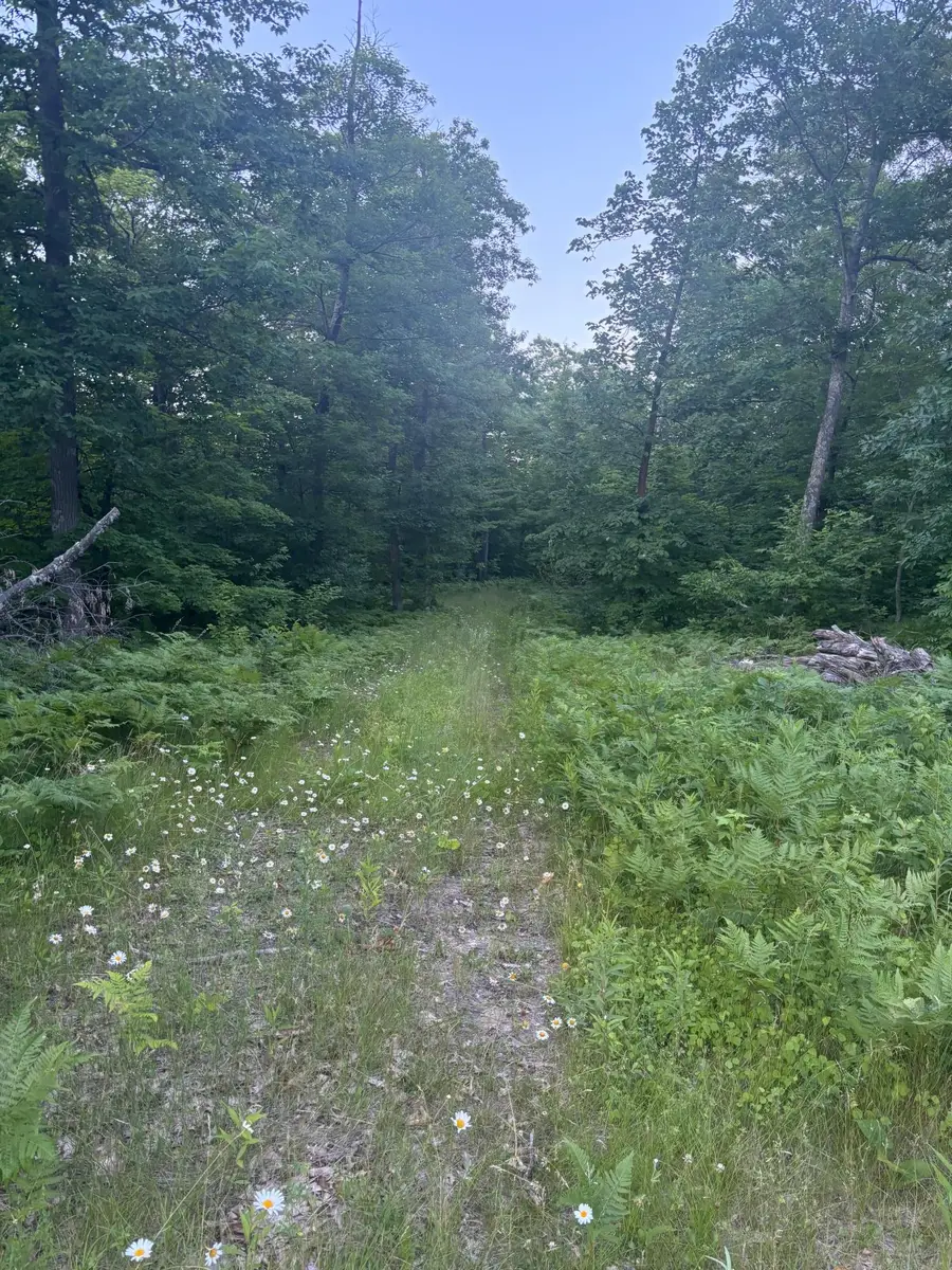 39987 Cass Line Road, Laporte, MN 56461 - #2