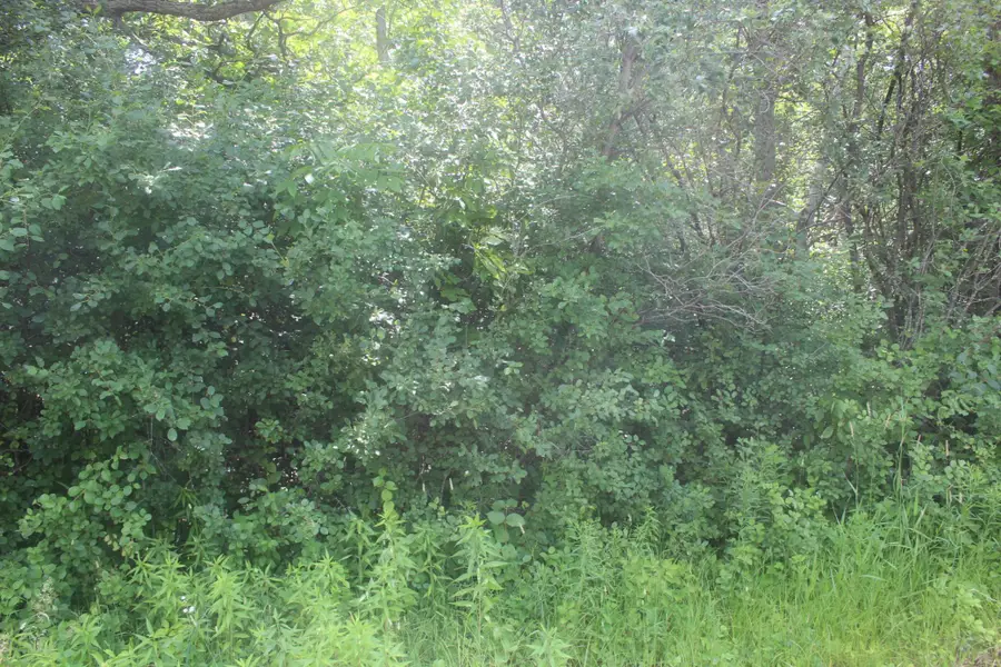 14xxx Green Meadow Road, Milaca, MN 56353 - #3