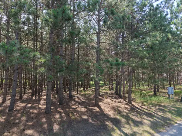 1005 Ladyslipper, Unit 16 Lane, Park Rapids, MN 56470