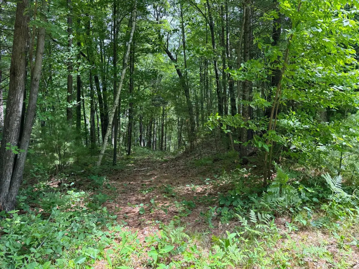 TDB Garden Dr, Siren, WI 54872 - #1