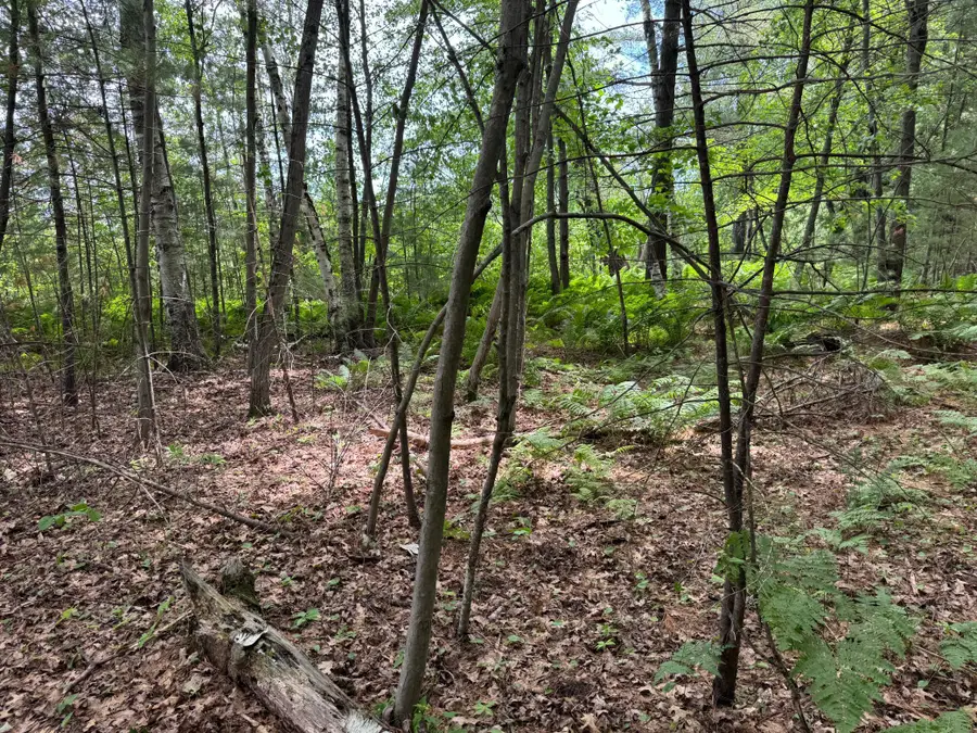 TDB Garden Dr, Siren, WI 54872 - #2