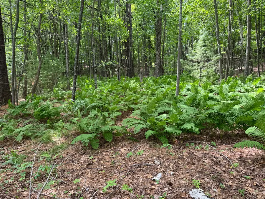 TDB Garden Dr, Siren, WI 54872 - #3