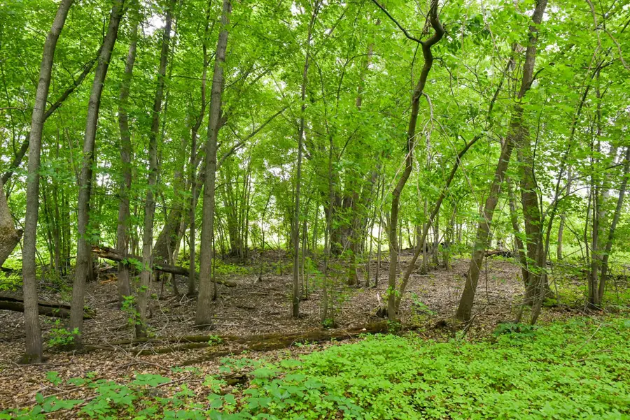 19231 Highwood Shores Road, Pine City, MN 55063 - #3