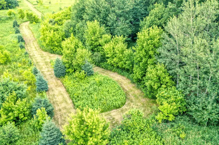 TBD 555th St, Rush City, MN 55069 - #3