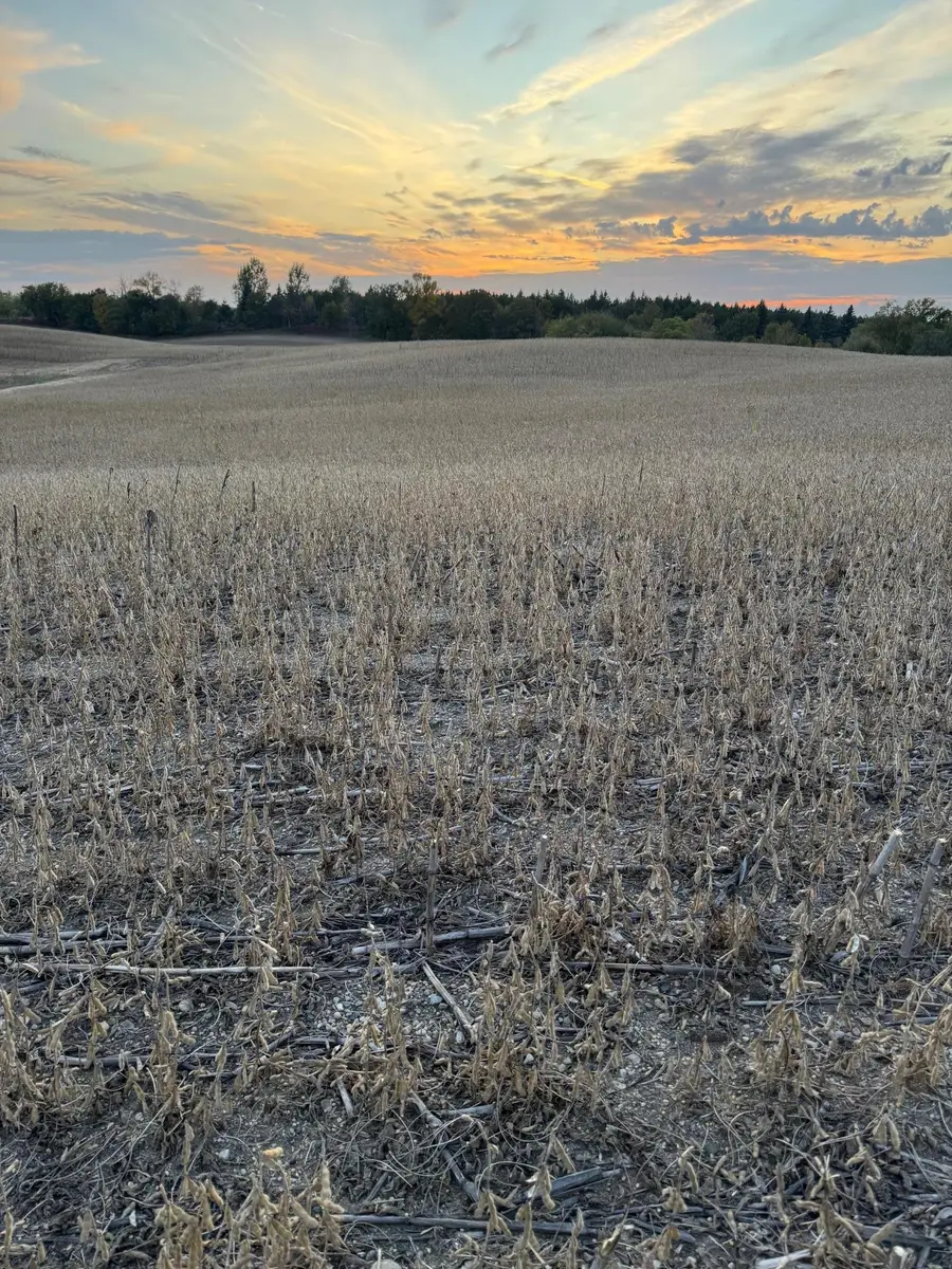 TBD Placid Drive, Dent, MN 56528 - #2