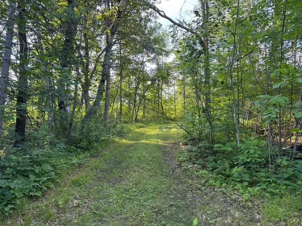 TBD-1 N Riverside Road, Moose Lake, MN 55767