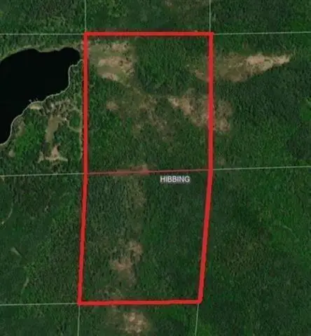 TBD S Town Line Rd, Hibbing, MN 55746 - #1