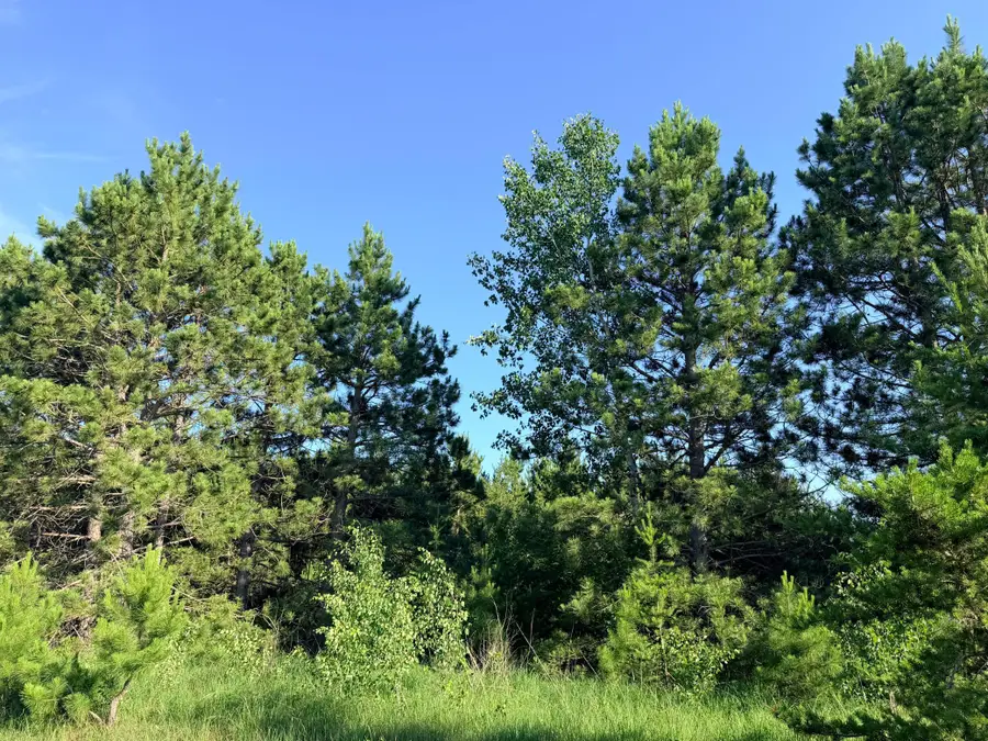 TBD 372nd St, Menahga, MN 56464 - #3