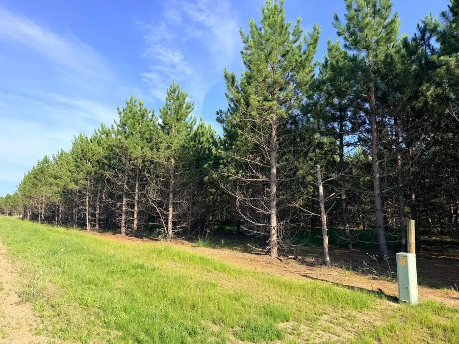 TBD Lita Lane, Menahga, MN 56464 - #3