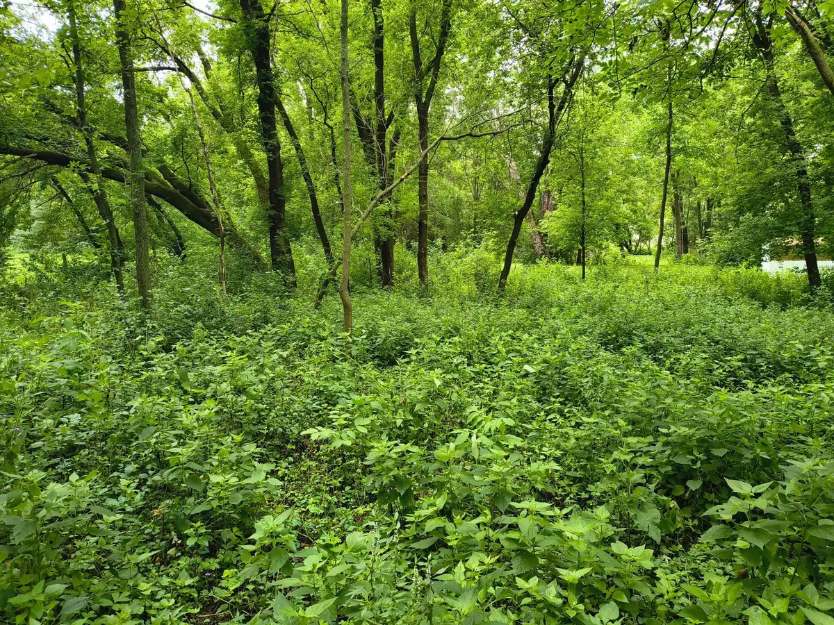 tbd NE 4th St, Glenwood, MN 56334 - #1