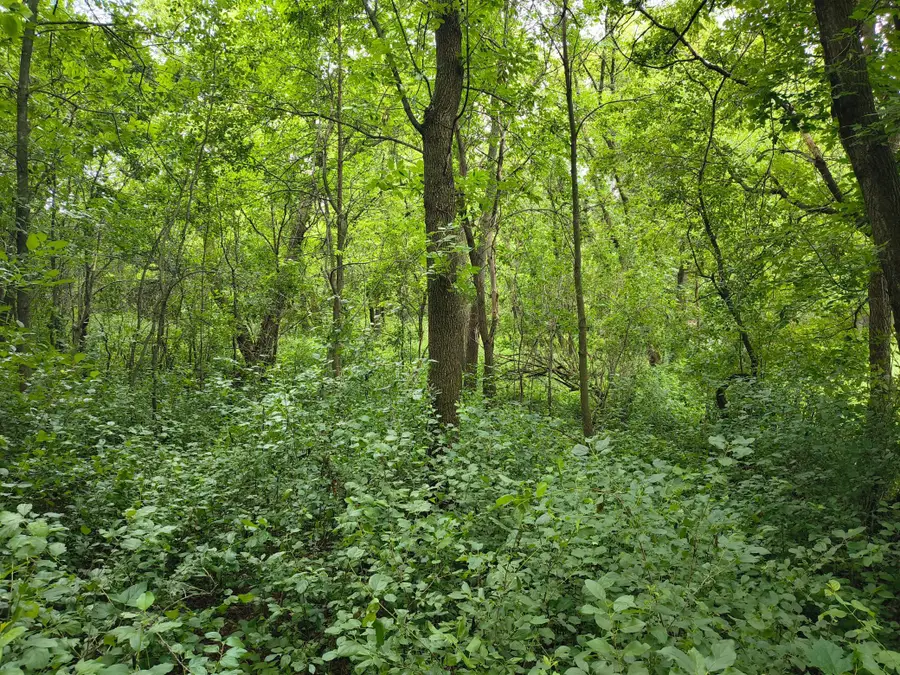 tbd NE 4th St, Glenwood, MN 56334 - #3