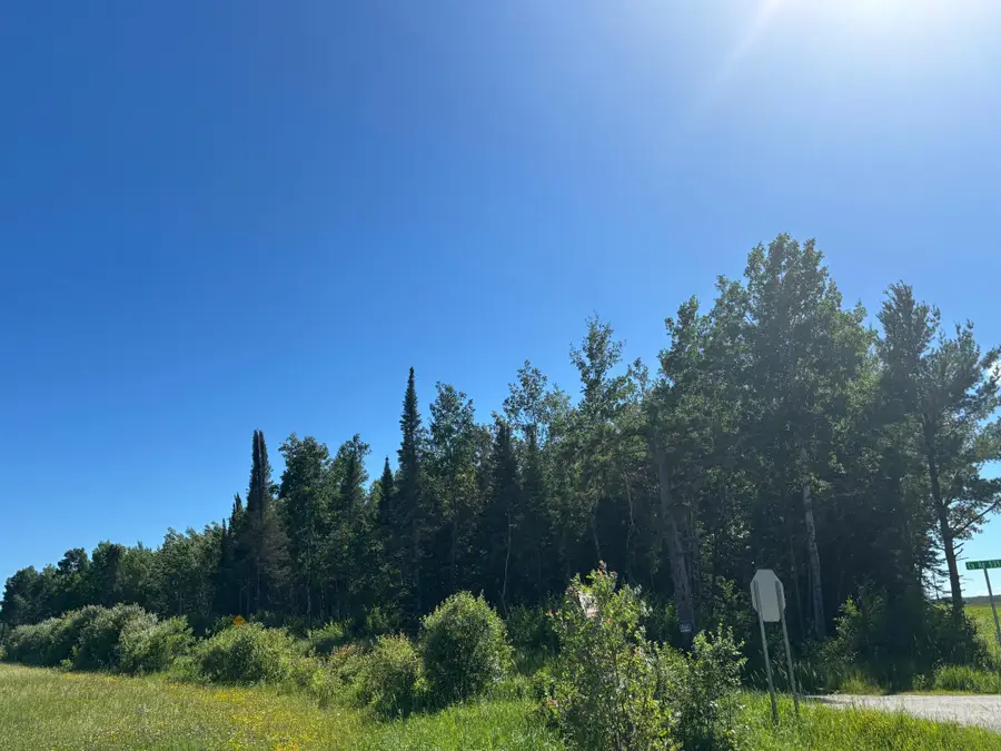TBD 10 County Rd 75, Orr, MN 55771 - #3