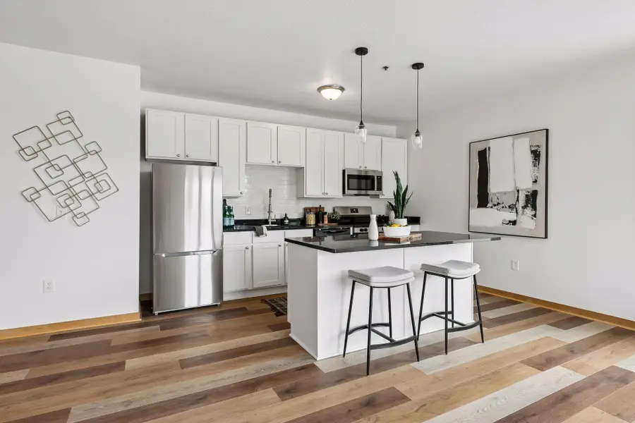1502 5th Street N #313, Hopkins, MN 55305 - #3