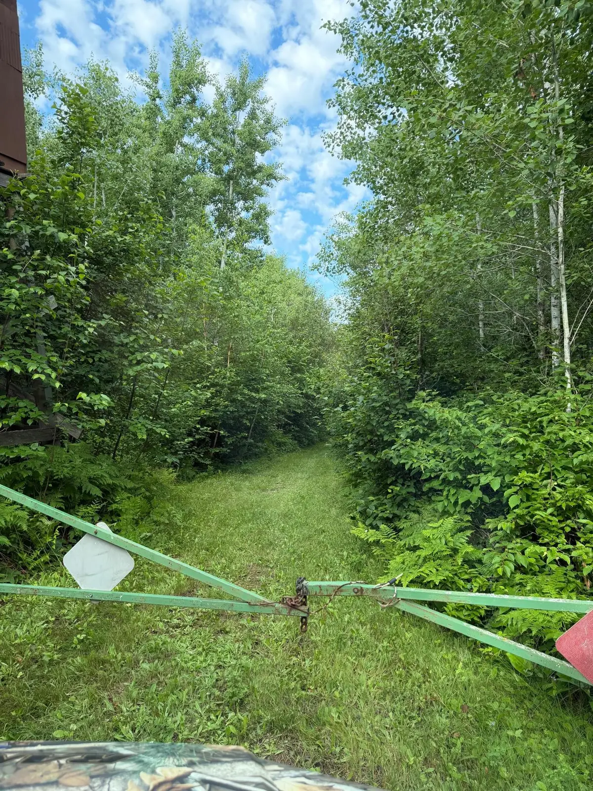 000 County Rd 56, Nashwauk, MN 55769 - #1