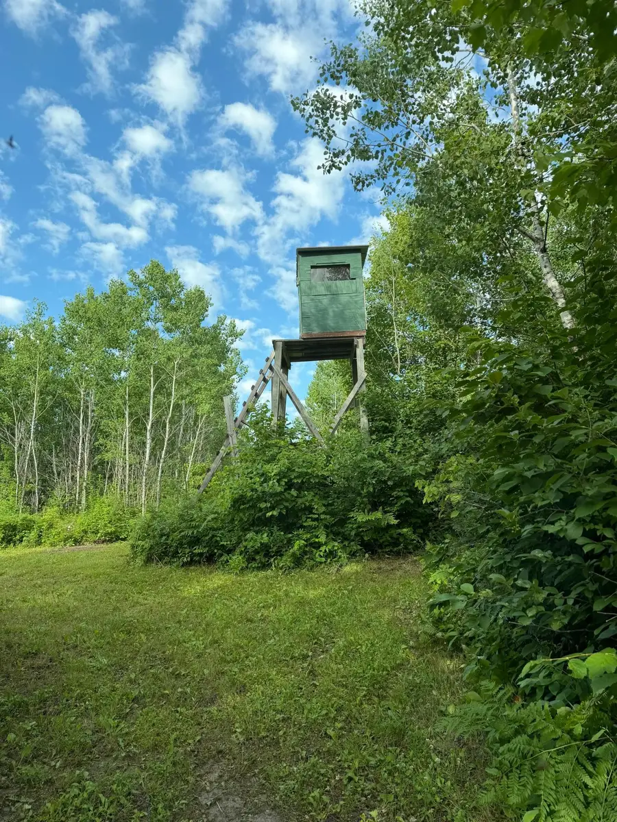 000 County Rd 56, Nashwauk, MN 55769 - #2