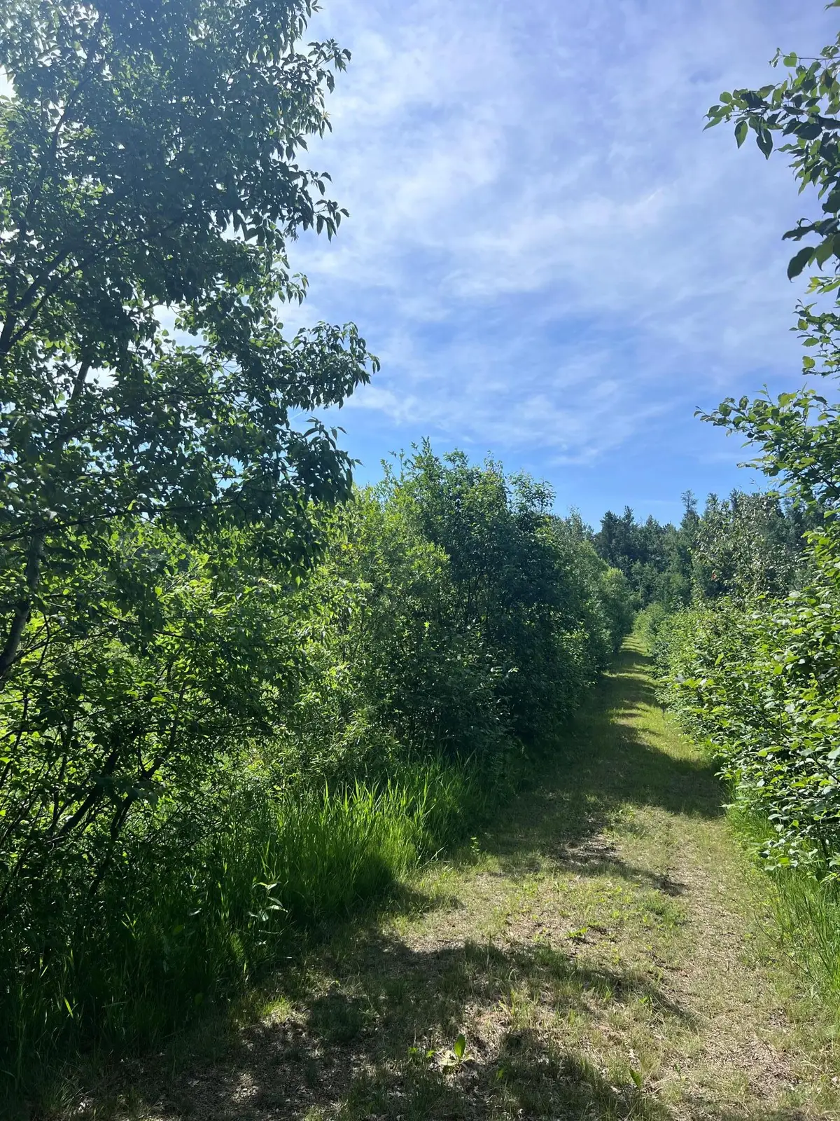 TBD Main Street E, Menahga, MN 56464 - #1