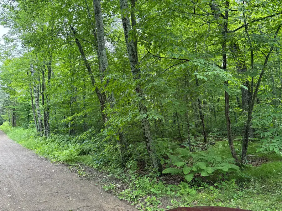 TBD 254th Lane, Hazelton, MN 56431 - #2