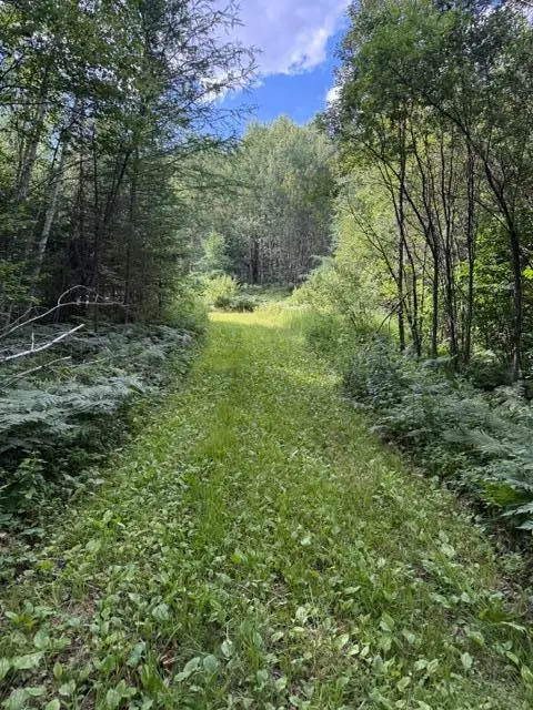 TBD N Moose Lake Road, Pennington, MN 56663 - #1
