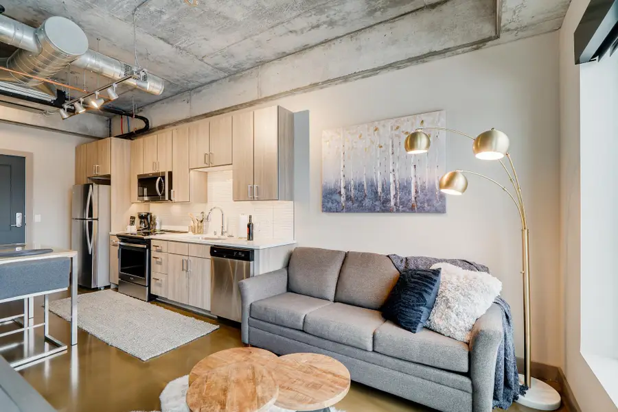 728 N 3rd Street #507, Minneapolis, MN 55401 - #3