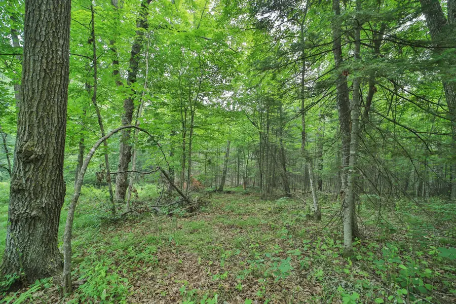 TBD 178th Ln/garden Lane, McGregor, MN 55760 - #3