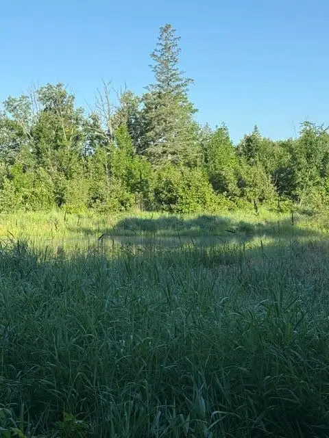 TBD Old Grade, Pine River, MN 56474 - #2