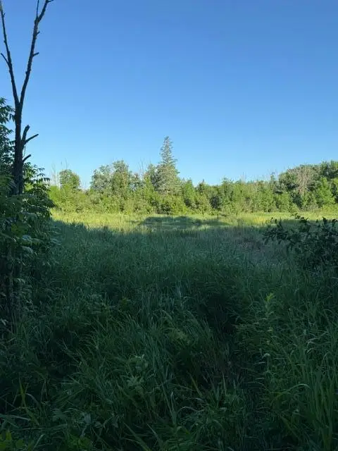 TBD Old Grade, Pine River, MN 56474 - #3