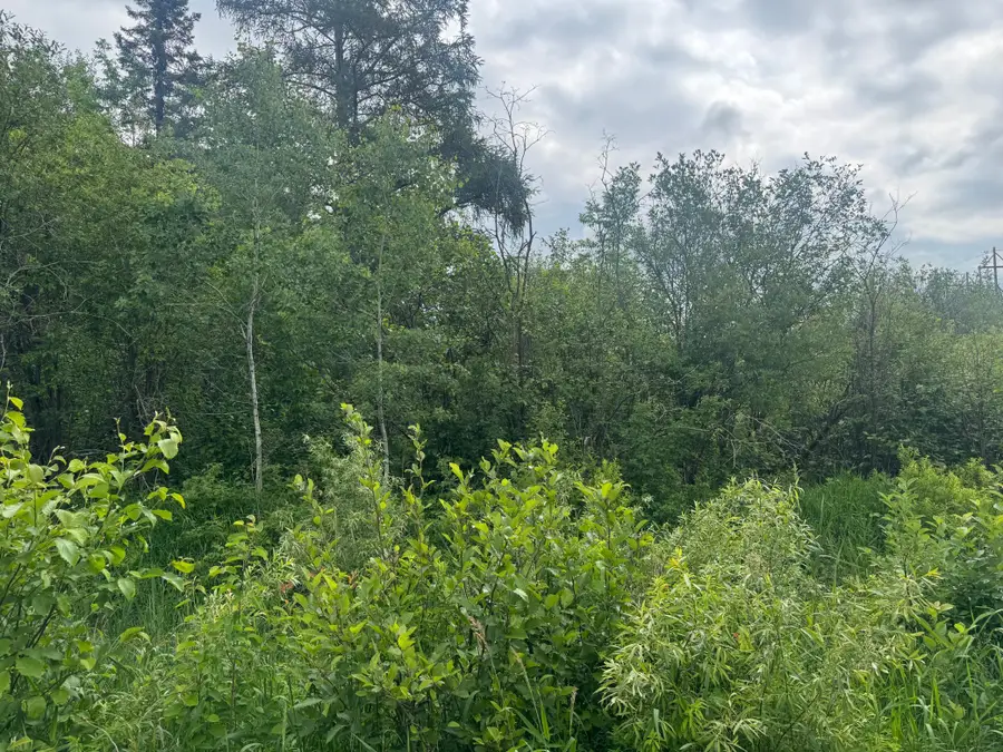 3xxx Quaal Road, Forbes, MN 55738 - #3