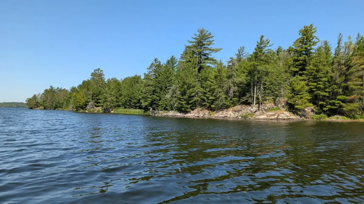 7952 Highway 24, Orr, MN 55771 - #1