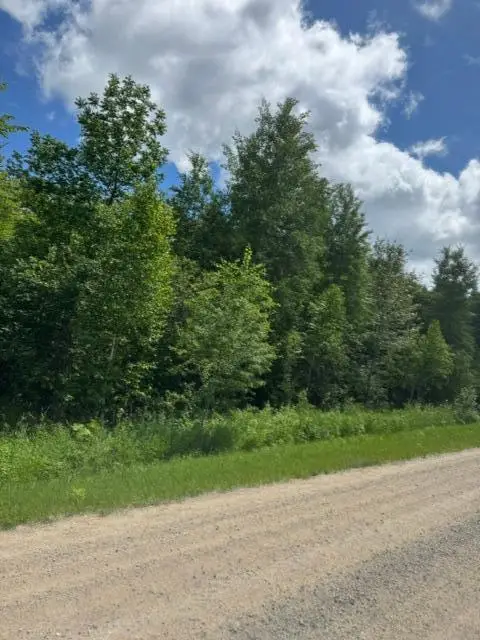 36502 County Road 129, Deer River, MN 56636 - #2