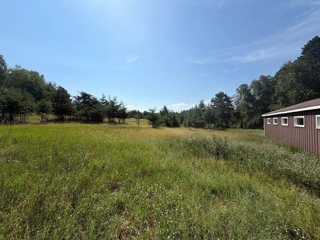 ABC County 2, Nevis, MN 56467 - #1