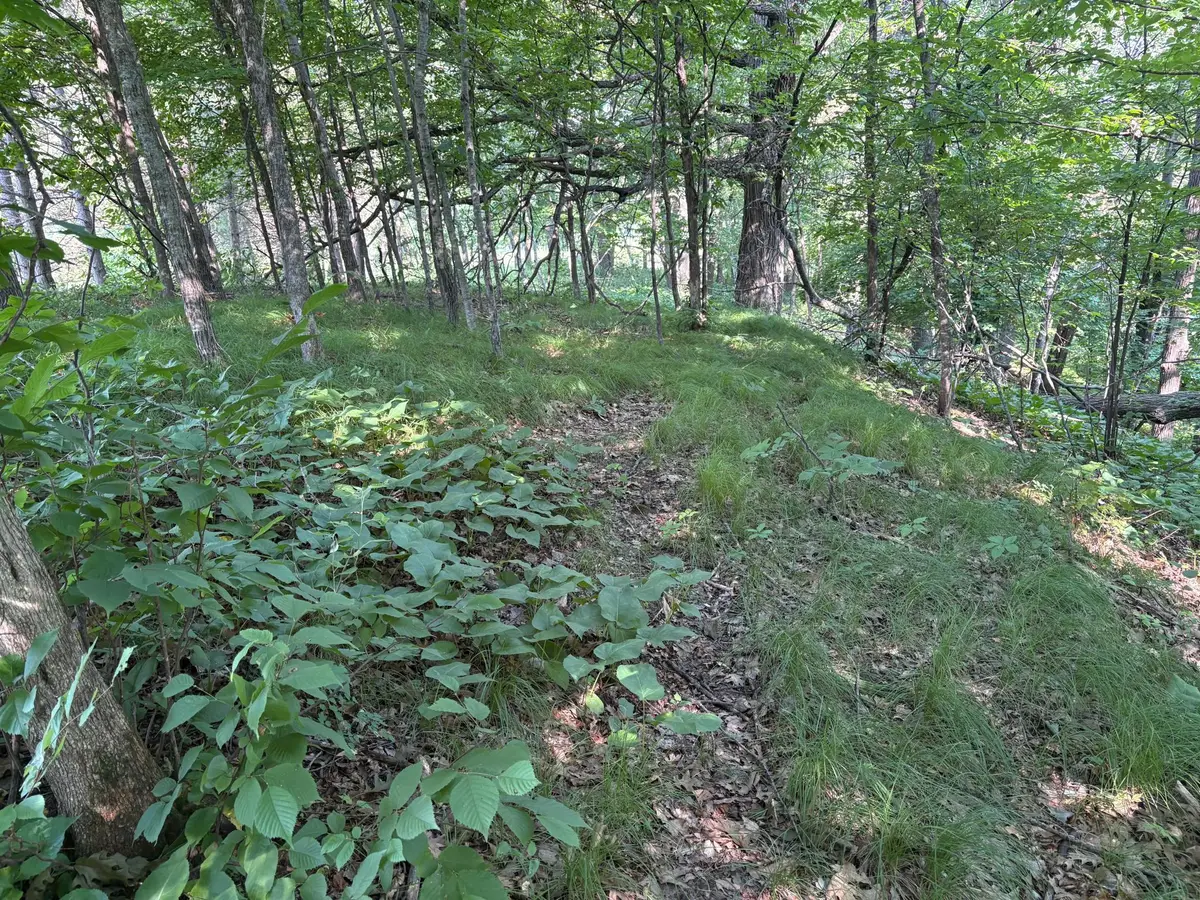 320th 320th Street, Browerville, MN 56438 - #1
