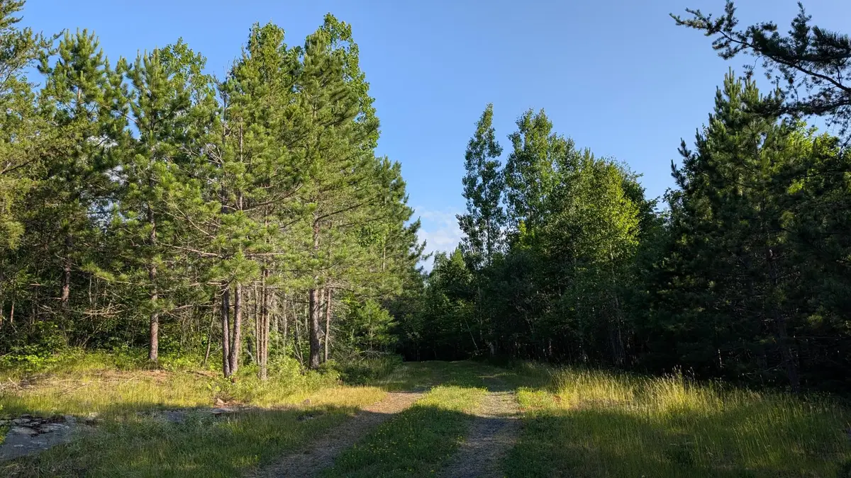 Lot A Hwy. 24, Orr, MN 55771 - #1