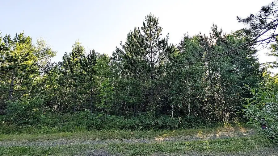 Lot B Hwy. 24, Orr, MN 55771 - #2