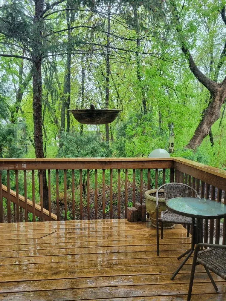 293 River Woods Lane, Burnsville, MN 55337 - #2