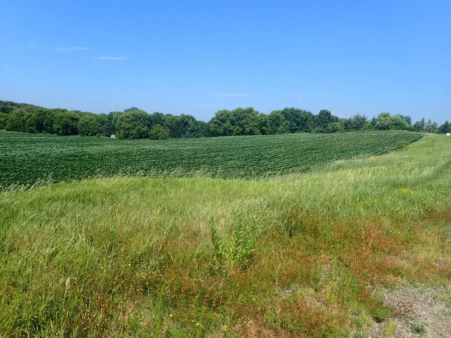 XXX22 60th Street Sw, Cokato, MN 55321 - #3