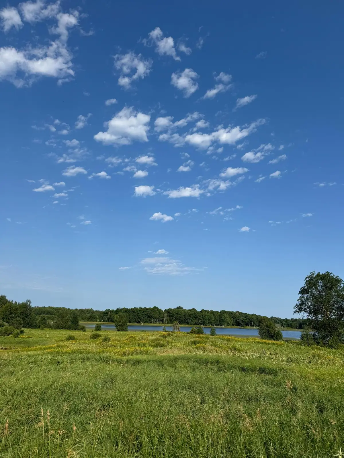 TBD 256th Lane, Aitkin, MN 56431 - #1